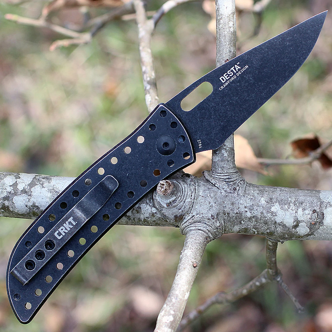 CRKT 2784 Desta, 2.57" 8Cr13MoV SS, Plain Blade, SS Handle 2 CRKT 2784 Desta, 2.57" 8Cr13MoV SS, Plain Blade, SS Handle - Image 2