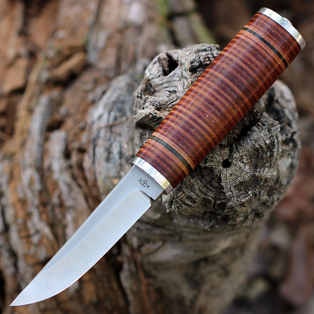 The Knife Shop -The Knife Shop ACSS4ST.1 24654.1666639979