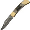 Damascus Blades - Stag Bone (3" Damascus) DM-1257SG