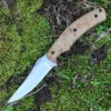 Browning Rosewood Fixed Blade, 3.5" Stainless Plain Blade, Rosewood Handle