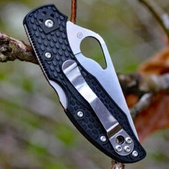 Byrd Meadowlark 2 Lightweight BY04PBK2, 2.875" 8Cr13MoV ComboEdge -The Knife Shop by04psbk2.2 55987.1566589248