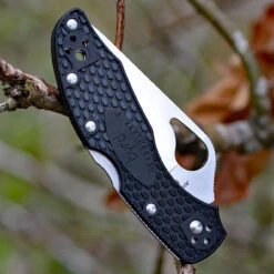 Byrd Meadowlark 2 Lightweight BY04PBK2, 2.875" 8Cr13MoV ComboEdge -The Knife Shop by04psbk2 23187.1566589247