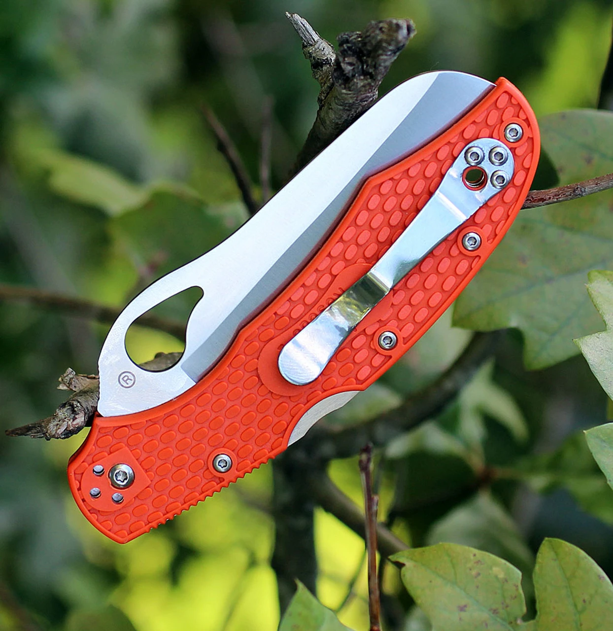 BYRD 17SOR2 Cara Cara 2 Rescue, 3.8" 8Cr13MoV Serrated Blade, Orange FRN Handle 3 BYRD 17SOR2 Cara Cara 2 Rescue, 3.8" 8Cr13MoV Serrated Blade, Orange FRN Handle - Image 3