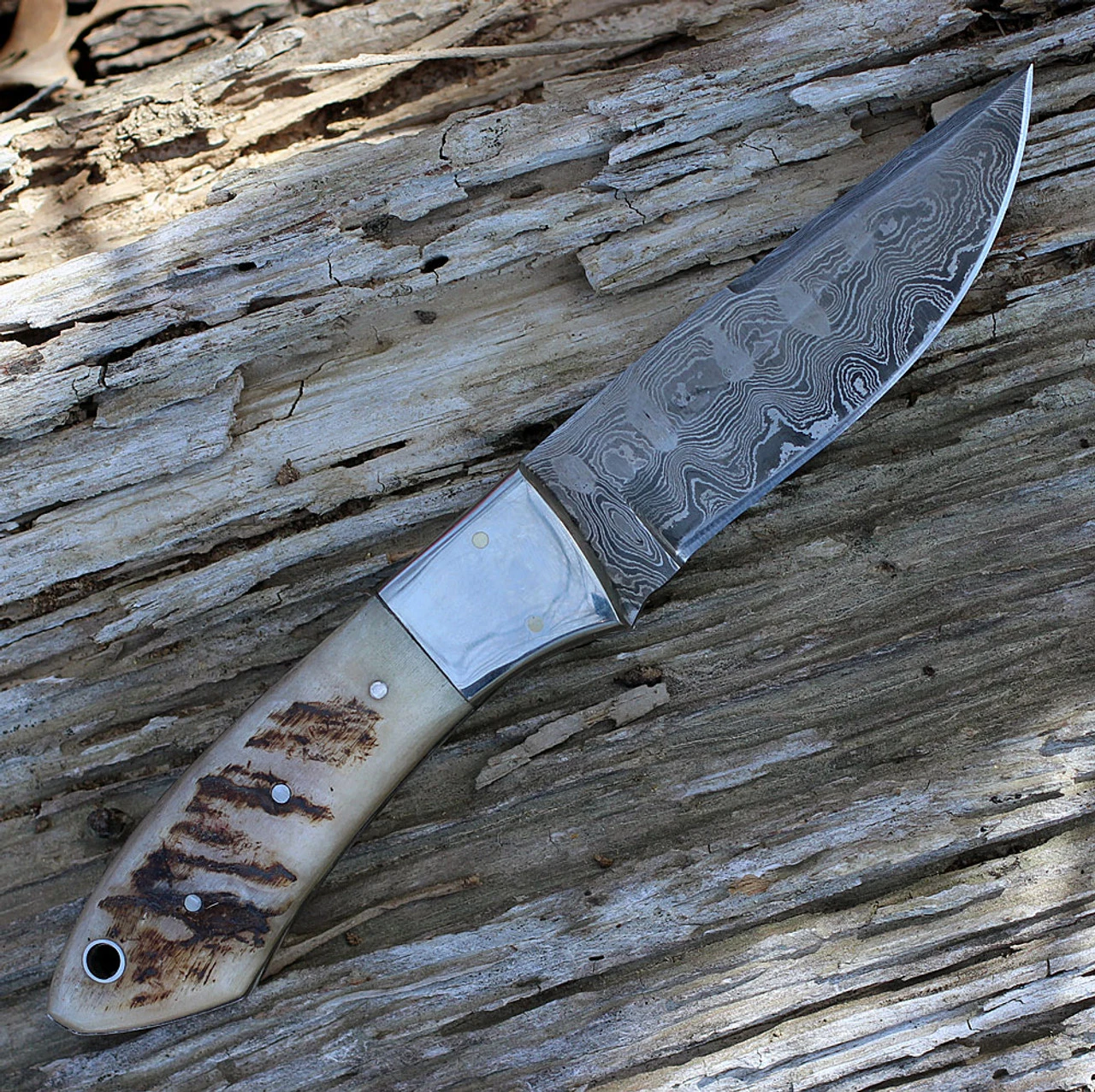 Damascus 1050RM Hunter, 4" Damascus Plain Blade, Ram's Horn Handle 2 Damascus 1050RM Hunter, 4" Damascus Plain Blade, Ram's Horn Handle - Image 2