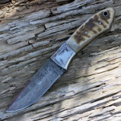 Damascus 1050RM Hunter, 4" Damascus Plain Blade, Ram's Horn Handle